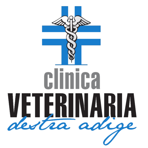Clinica Veterinaria Destra Adige