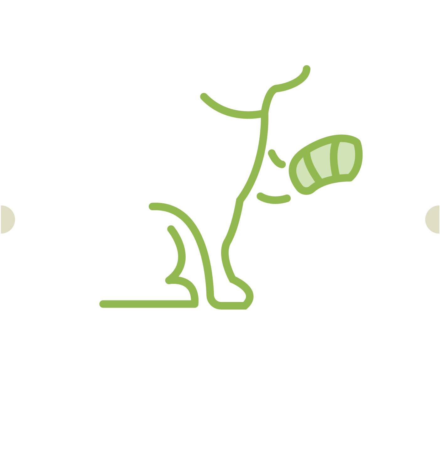 11. Ortopedica