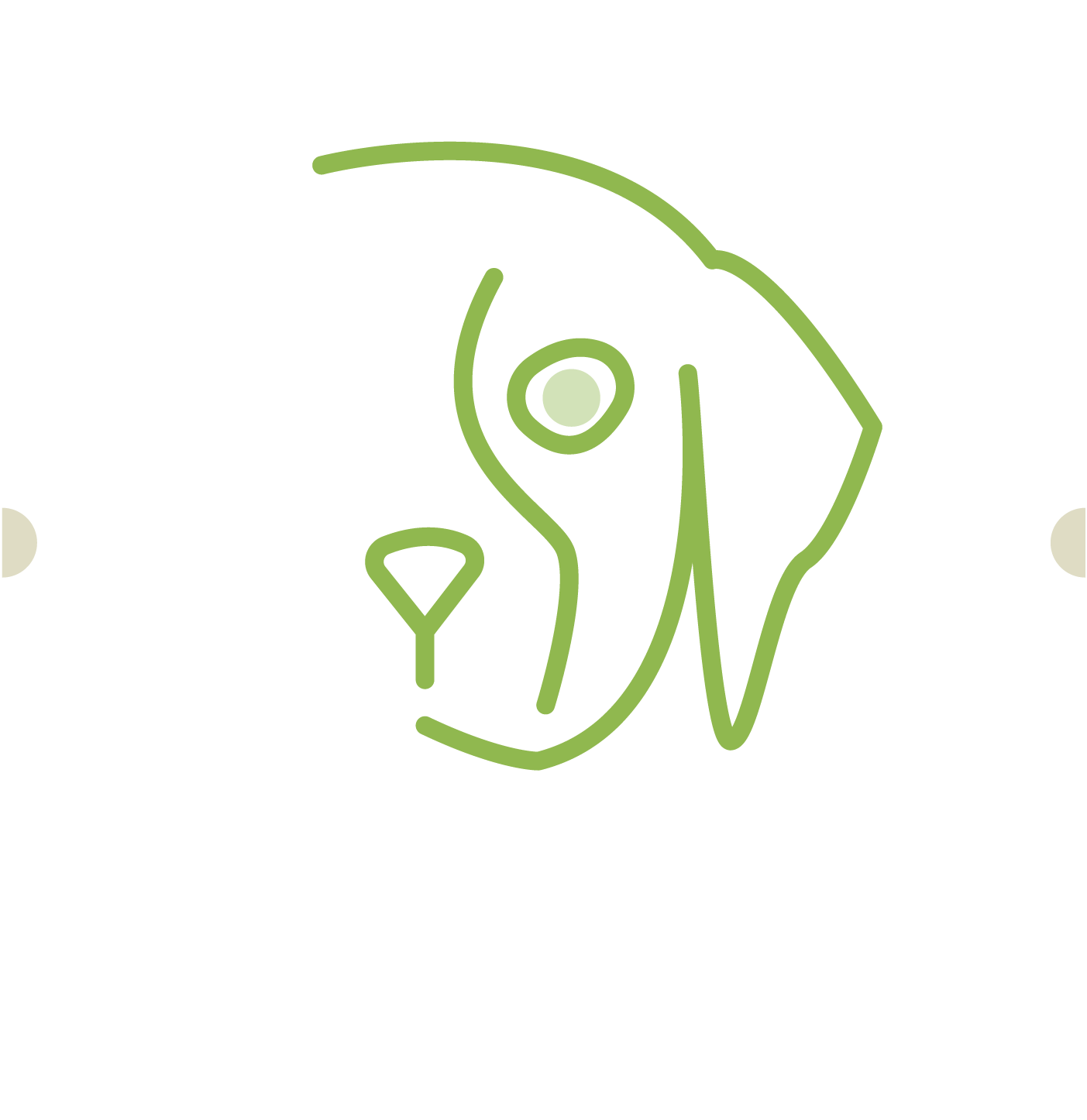 12. OCULISTICA