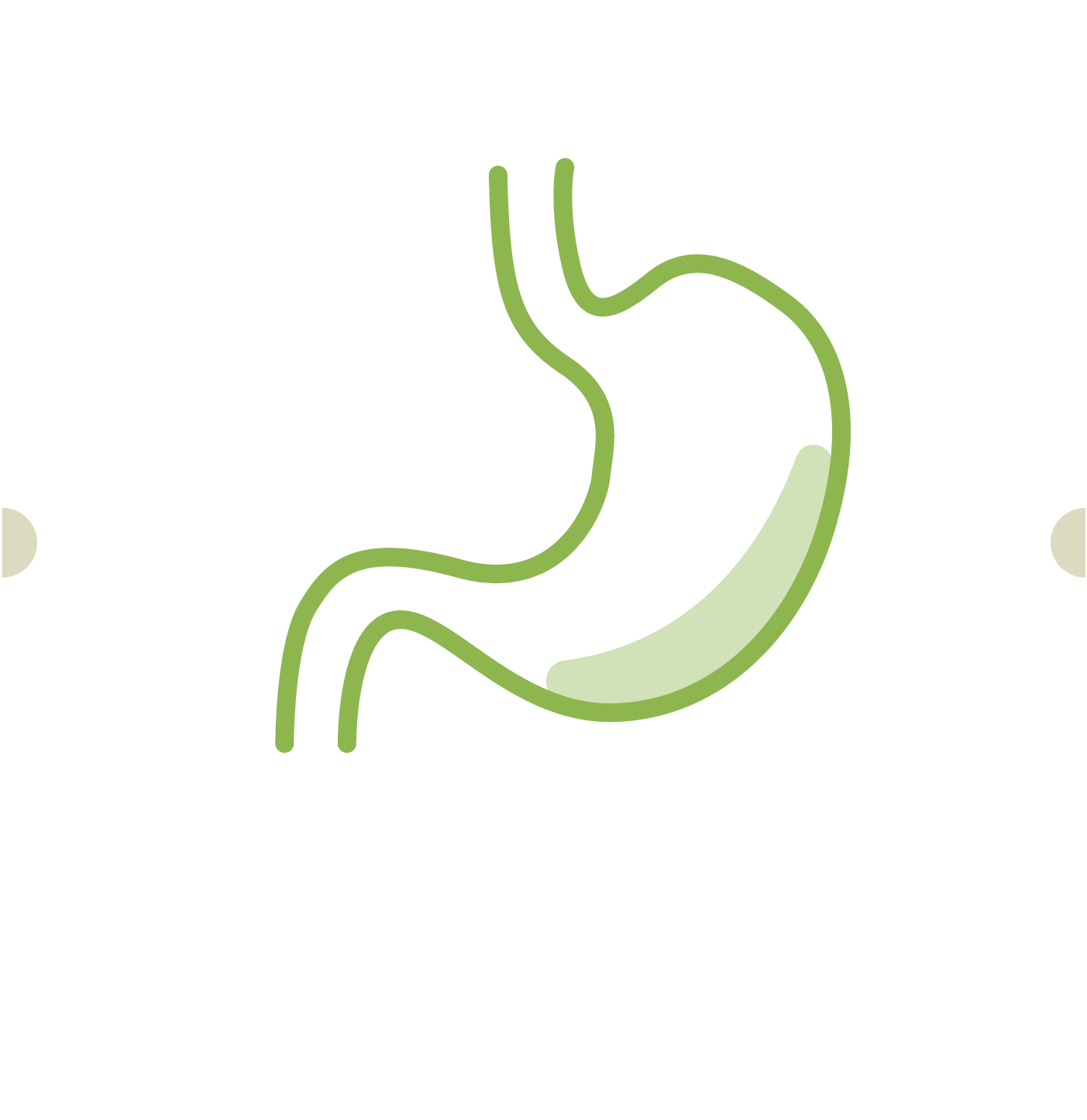 15. Endoscopia