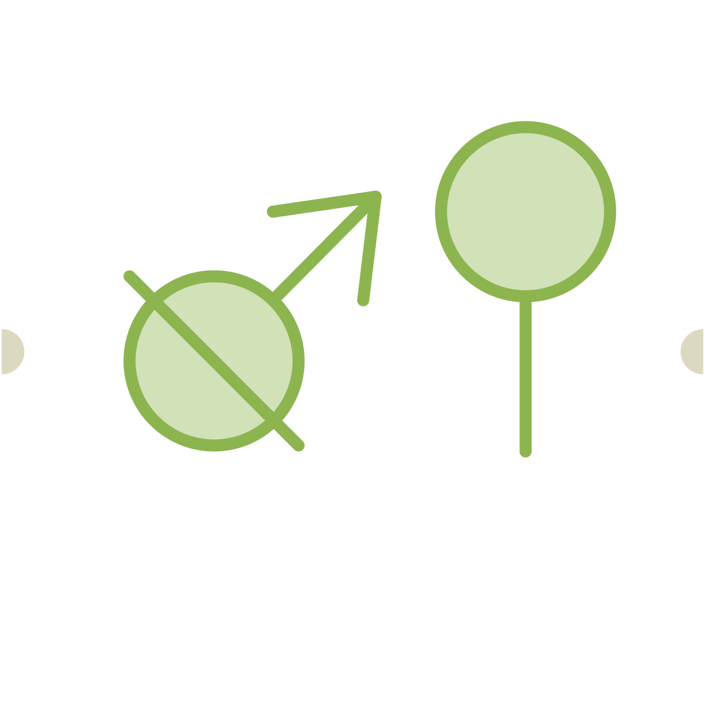 16. Castrazioni