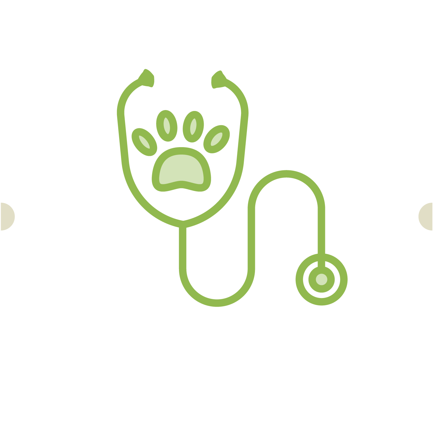 4. Visite