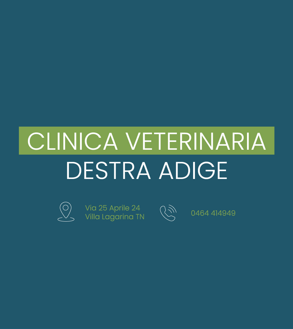 Clinica Veterinaria Destra Adige Via XXV Aprile 24 Villa Lagarina telefono 0464 414949